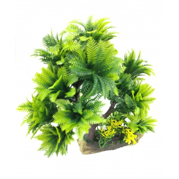 ΔΙΑΚΟΣΜΗΤΙΚΟ ΦΥΤΟ ΕΝΥΔΡΕΙΟΥ